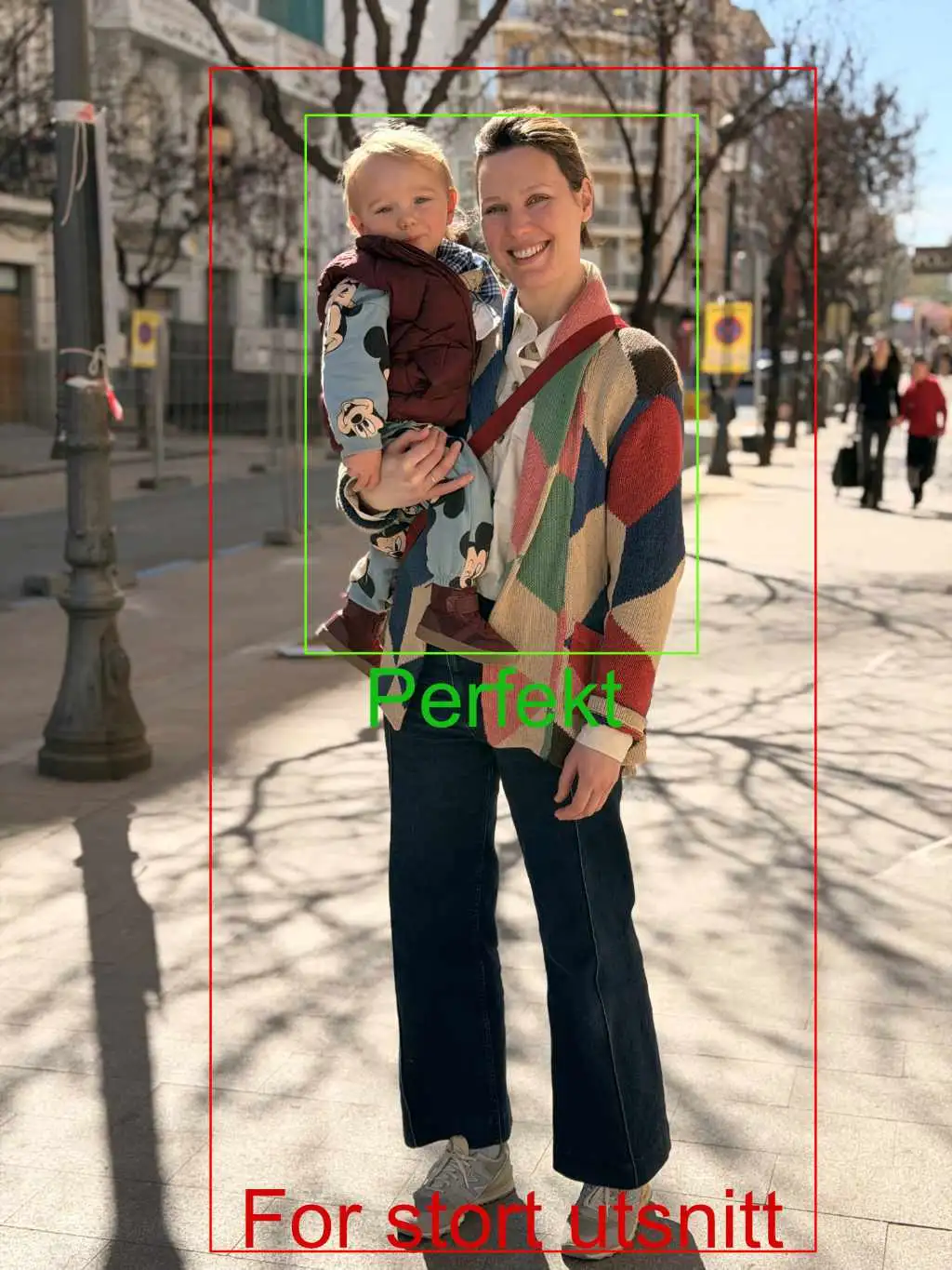 Example of a recommended portrait crop