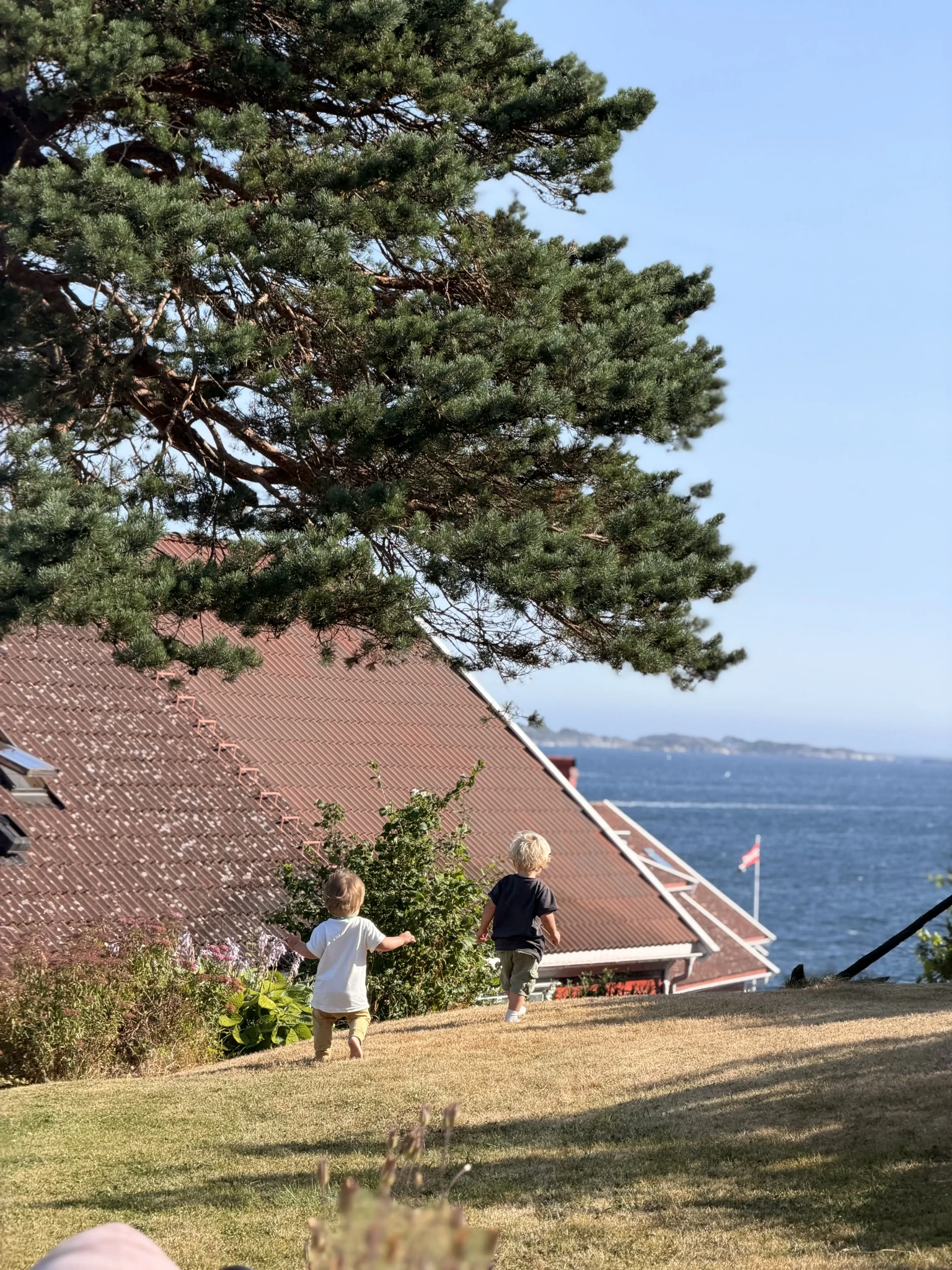 Two children walking across a lawn, with a red roof, pine branches and the sea in the background.
