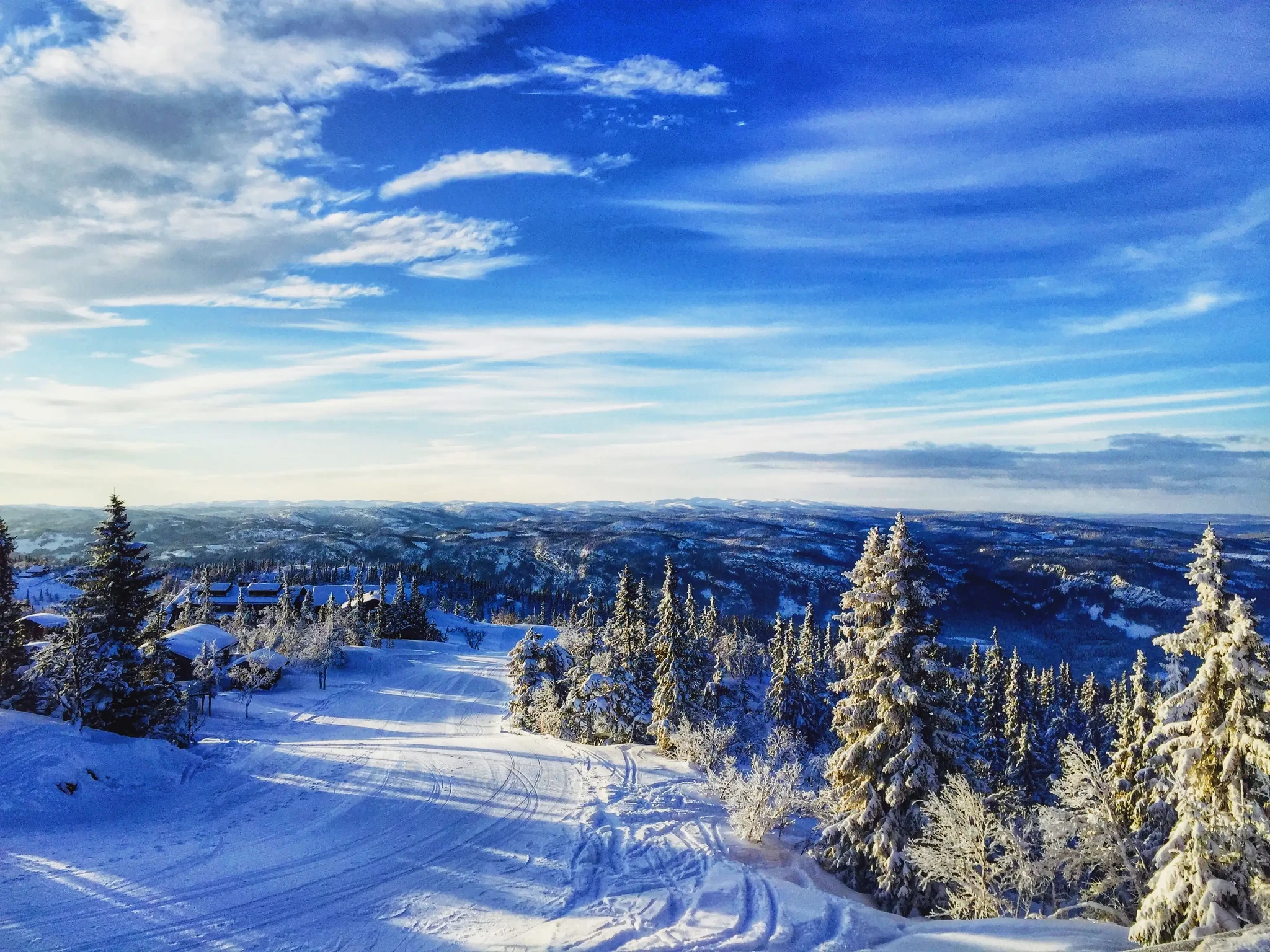 A snowy mountain landscape with ski tracks, cabins and spruce trees beneath a blue sky.